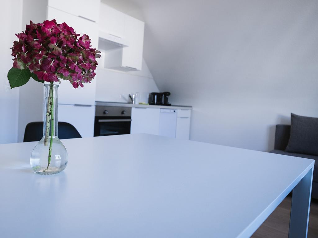 Apartment Kirschbaum
